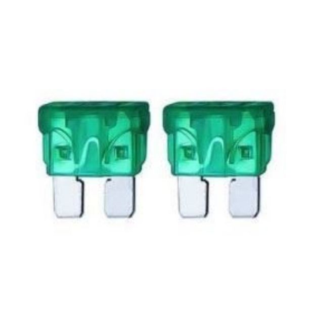 30 Amp Fuse (pair)